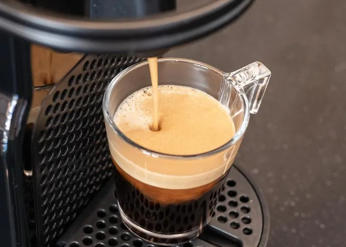 Le Coq Pamela - Ac - Wifi *