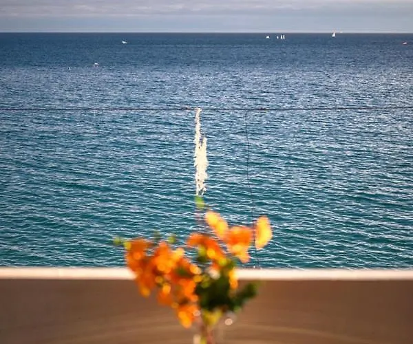 Le Coq Pamela - Ac - Wifi